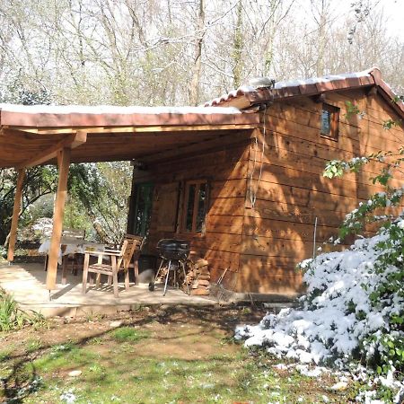 Cabane Dans Les Bois Avec Vue Sur Les Pyrenees Saint-Laurent-de-Neste Eksteriør billede