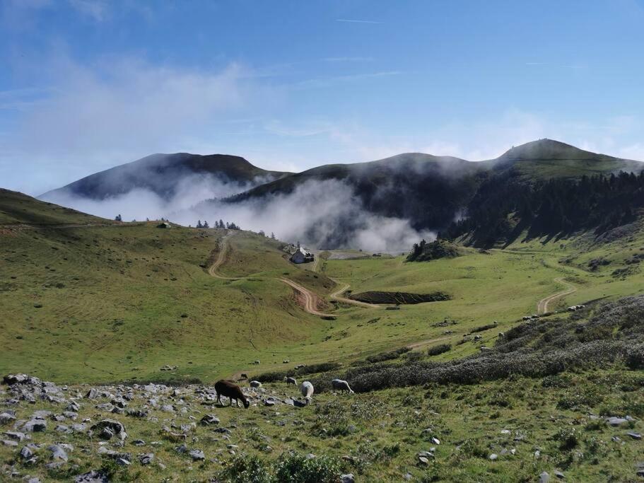 Cabane Dans Les Bois Avec Vue Sur Les Pyrenees Saint-Laurent-de-Neste Eksteriør billede