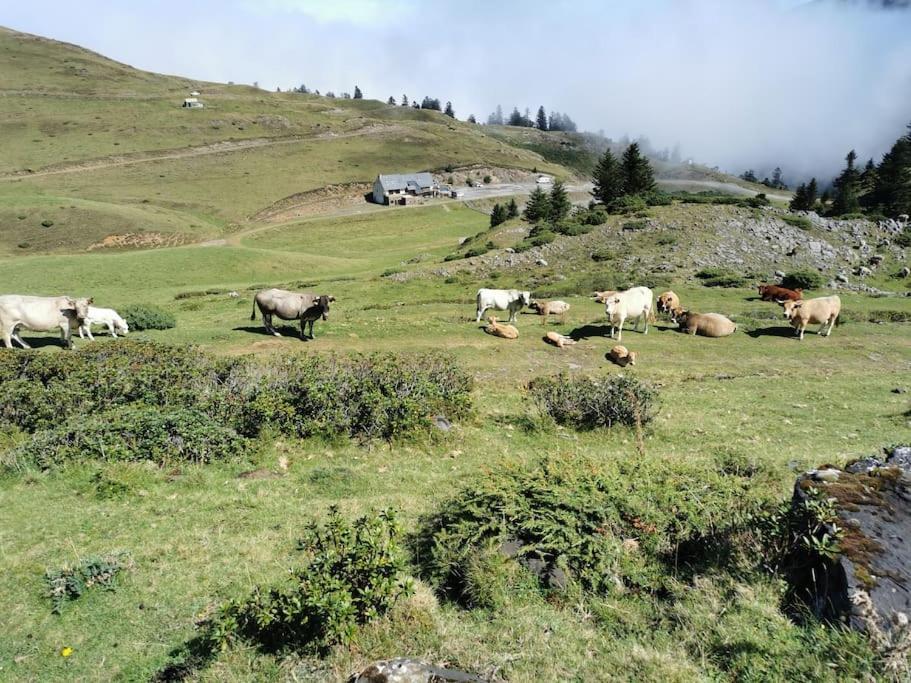 Cabane Dans Les Bois Avec Vue Sur Les Pyrenees Saint-Laurent-de-Neste Eksteriør billede
